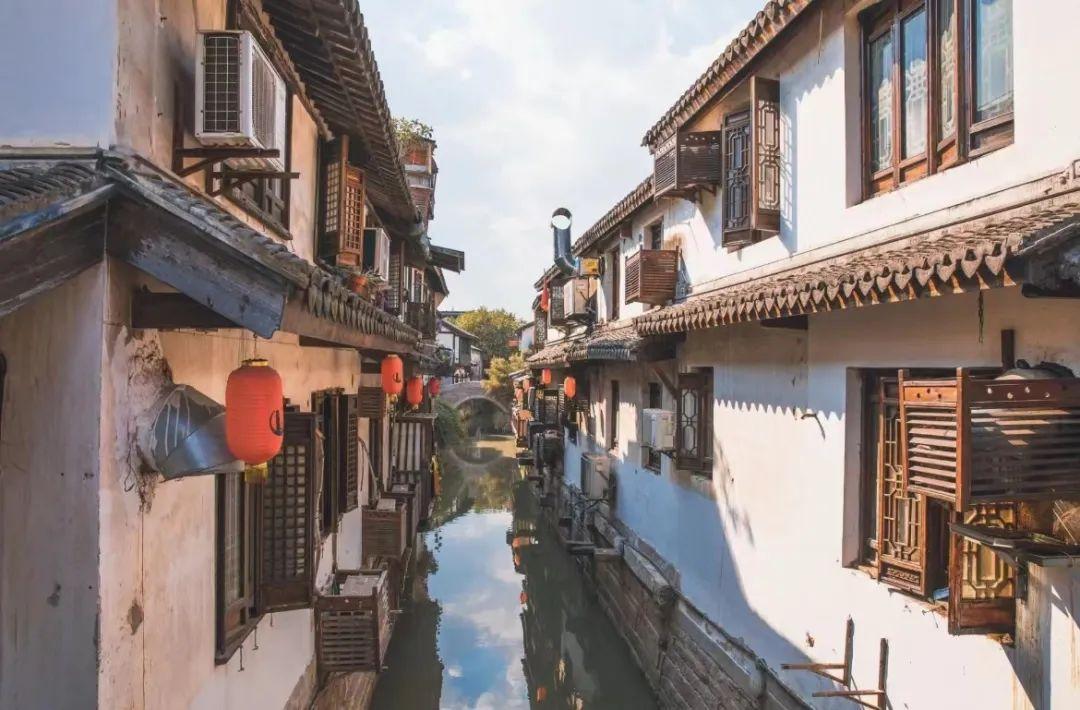 生化危机：浣熊市行动